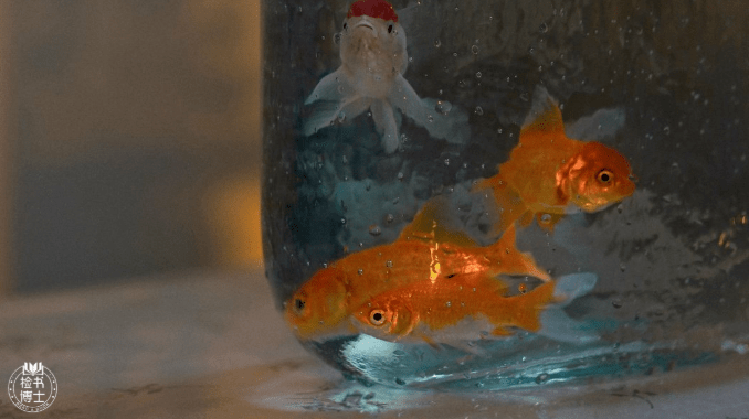 好好睡觉 是治愈生活的良药 睡眠 养生 身体 全网搜