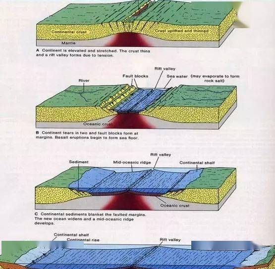 大陆继续被拉张,岩石圈进一步变薄,地幔物质大规模上涌,原先的大陆