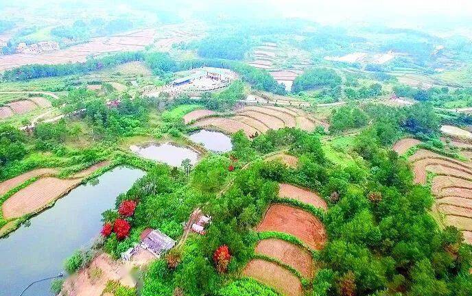 第二批全國鄉村治理示範村|湖北省安陸市洑水鎮殷棚村_村民_群眾_文明