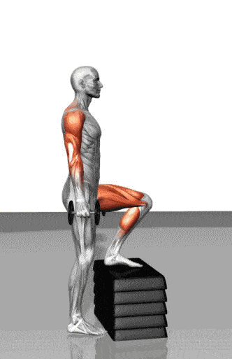 332_513竖版 竖屏gif 动态图 动图