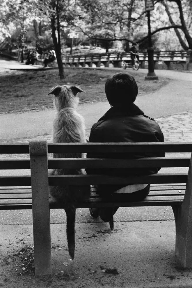 刘子超 旅行让我一次次确认人生的虚无 然后在随波逐流中继续 布尔诺 炸鸡 大巴 刘子超 旅行让我一次次确认人生的虚无 然后在随波逐流中继续 布尔诺 炸鸡 大巴