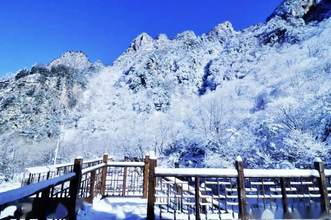 青峰峡冰雪世界图片