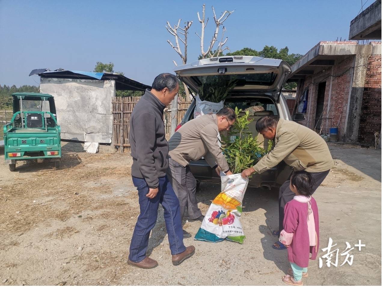 送苗送技廉江石嶺來了科技特派員