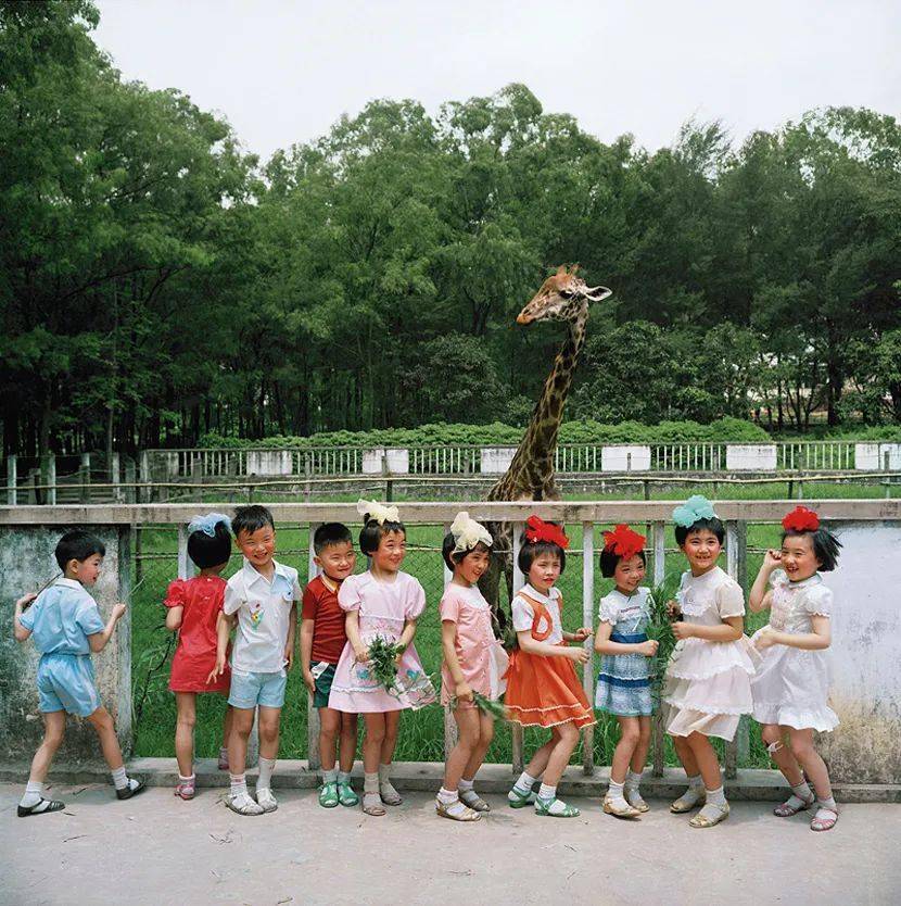 看到39年前摄影师偷拍的孩子才明白为什么如今的孩子这么容易抑郁