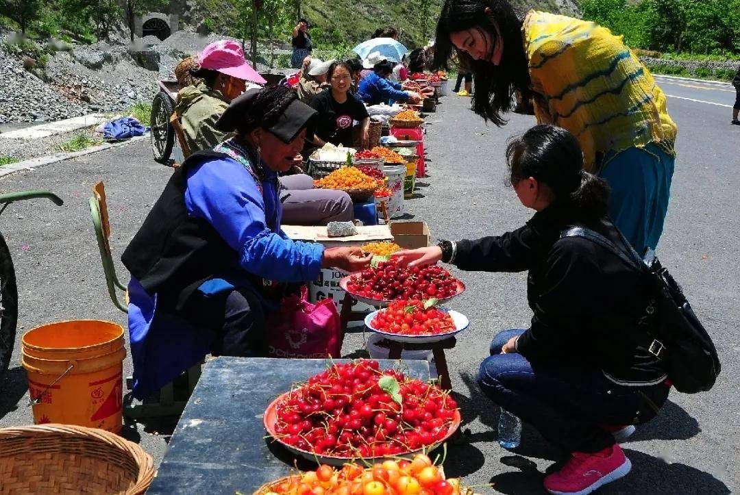 理县|理县“旅游+”模式大力发展县域旅游