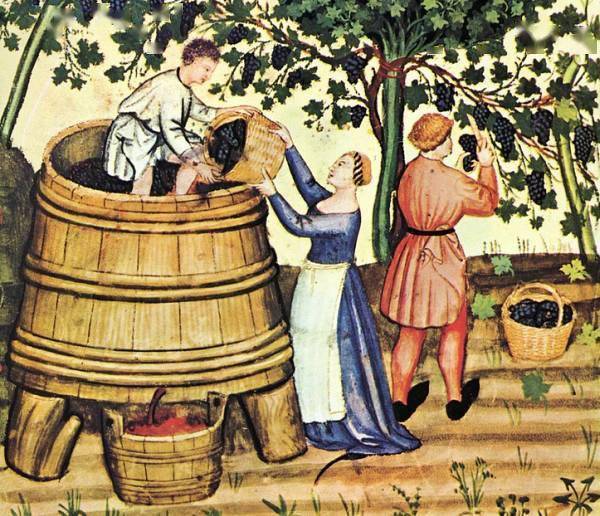 酿酒|有机、生物动力、自然酒区别原来是这样的!