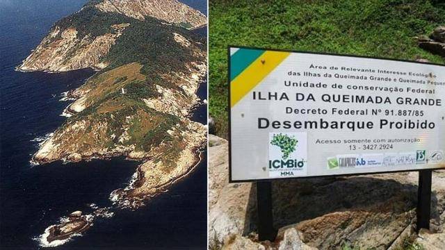 人类的禁区栖息着近4000条致命毒蛇巴西蛇岛