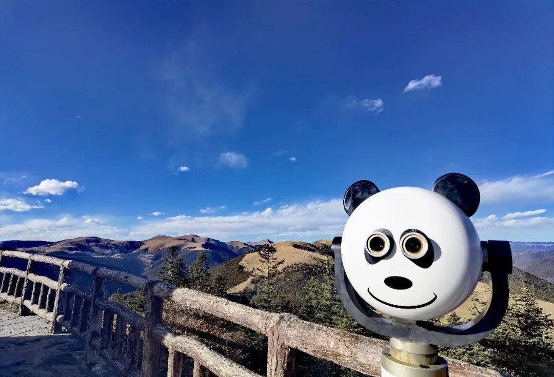 帶著茶葉去旅行 | 在冬日,遇見g318_理塘縣_察雅縣_雪山