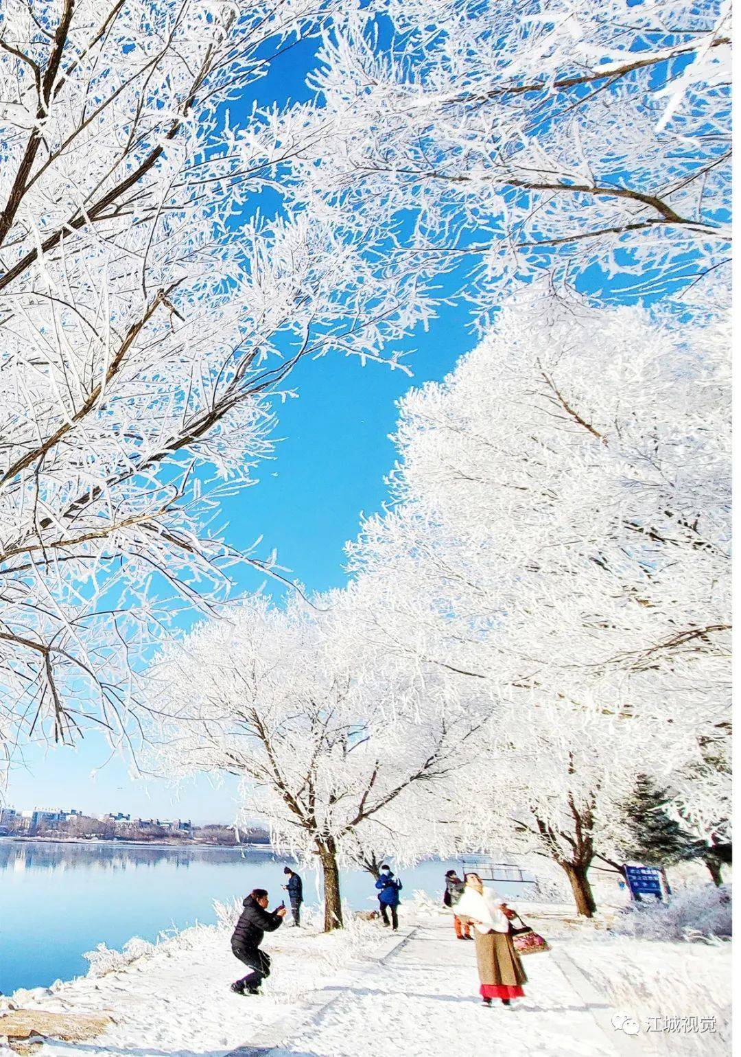 仙境|冰雪倾城，吉林市美景如画