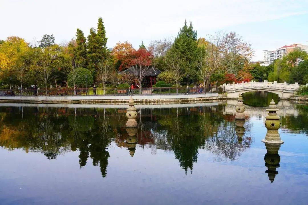 深呼吸~来看闸北公园绚丽美景→_上海_微信_垃圾