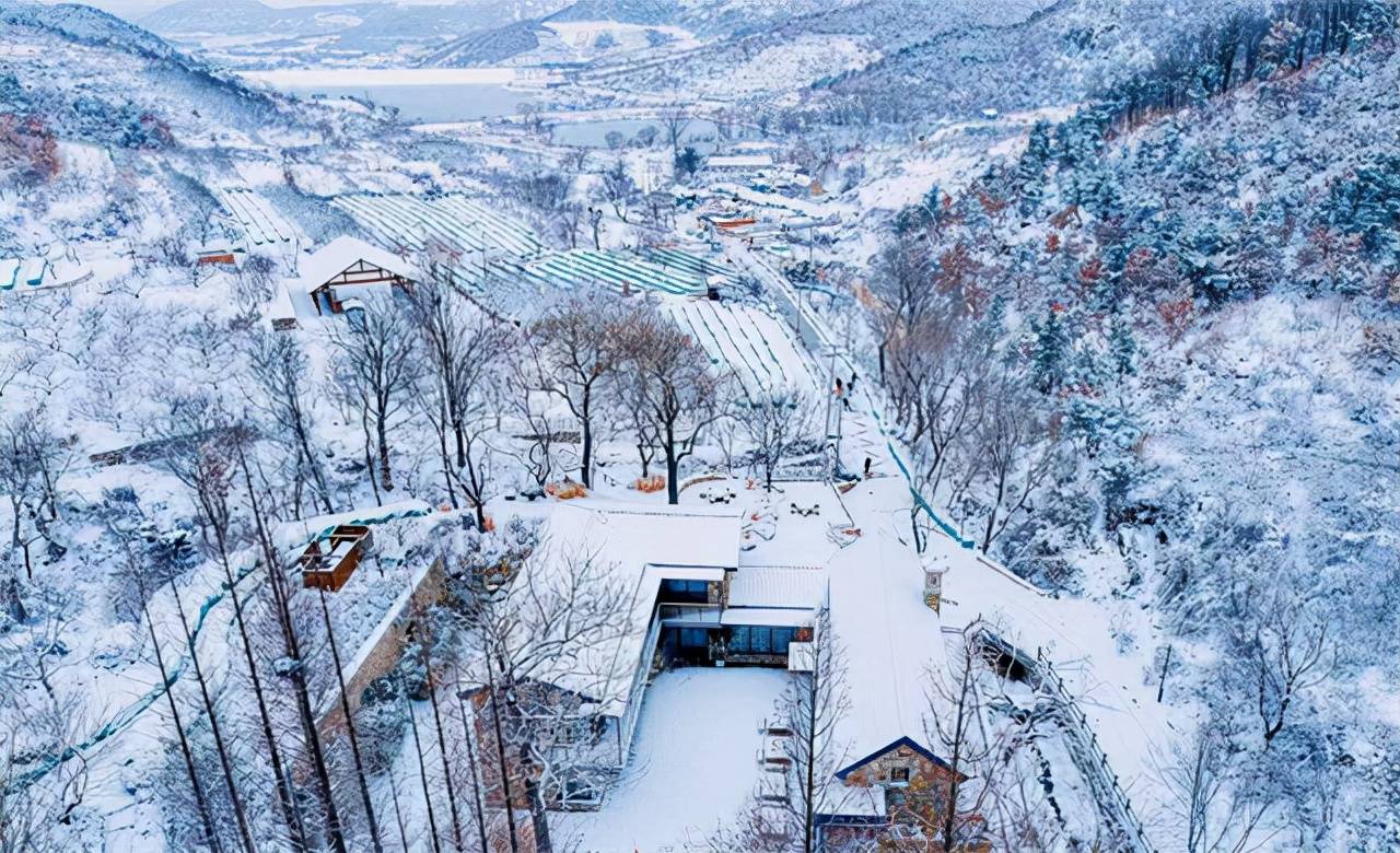 一场大雪后，威海里口山美成了“雪域天堂”