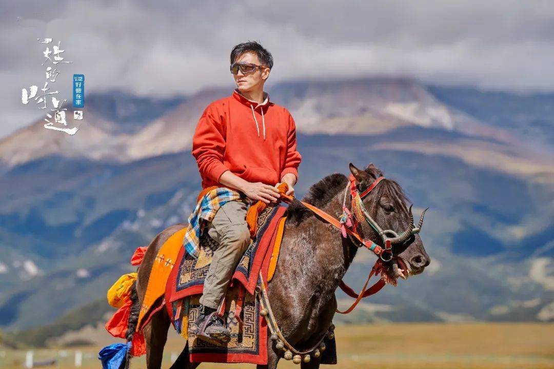 生活|全是真人没有秀,纪实综艺正流行