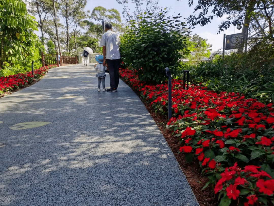 空间|厦门山海健康步道“上新”！1500㎡花海、5个便民服务点……