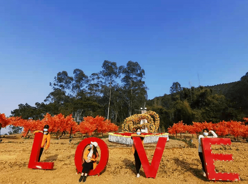 私享打卡網紅景點!