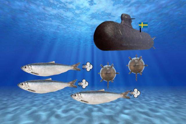 “臭名昭著”的鲱鱼竟靠放屁交流,鲱鱼罐头的臭,是否和屁有关?