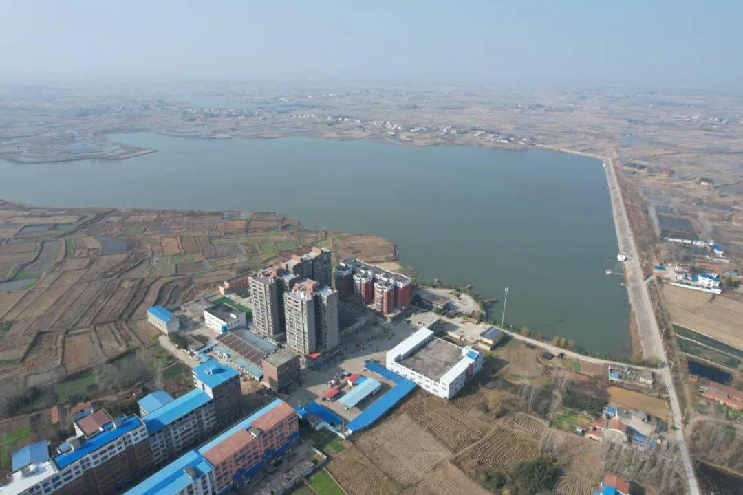 魅力潢川乡镇行虾稻之乡桃林铺扶摇万里冲云霄