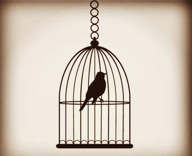 震惊海内外的民国第一越狱案色诱狱警伪造文件日特机关出笼高级营救