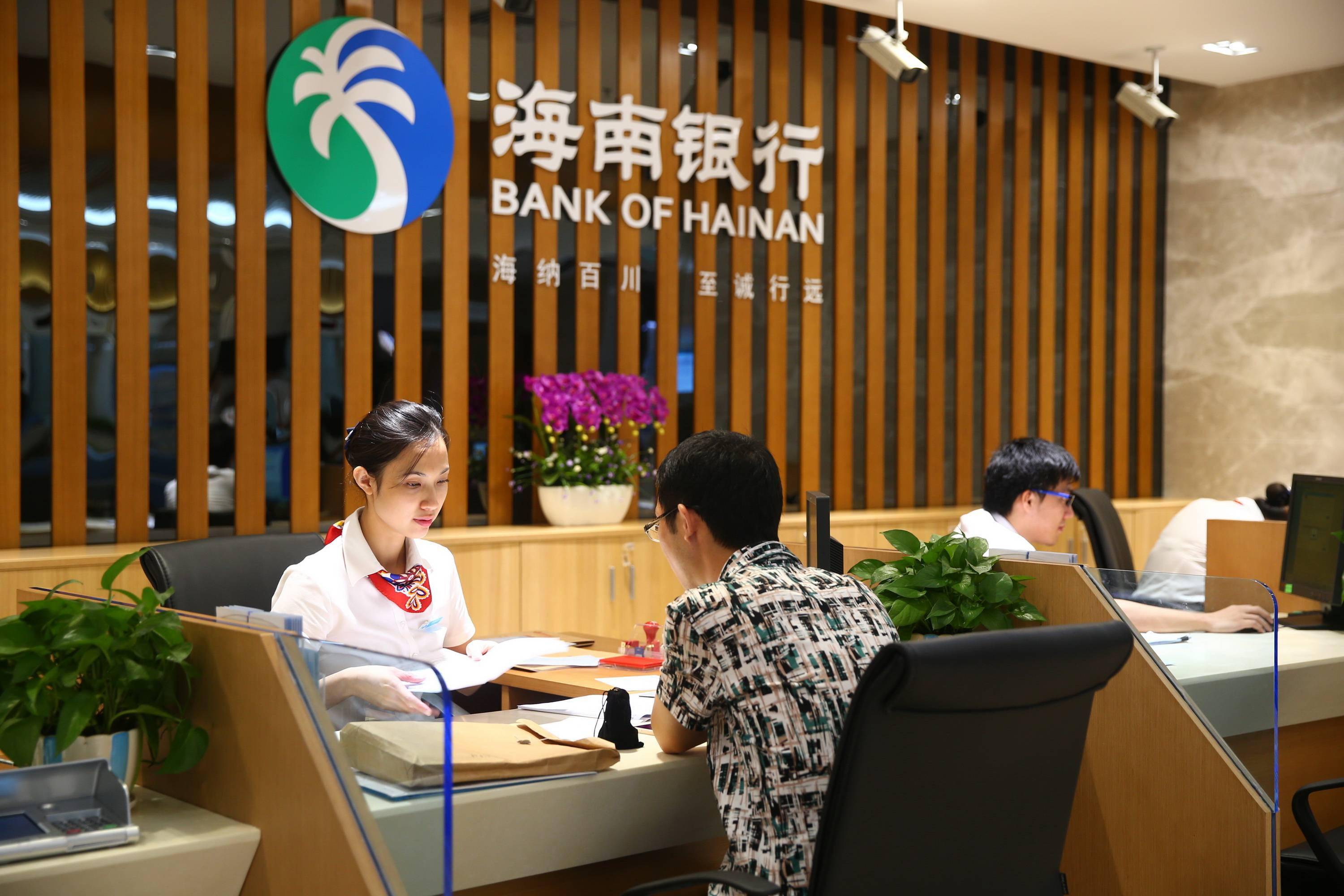 海南银行怎么打流水 来自搜狐网