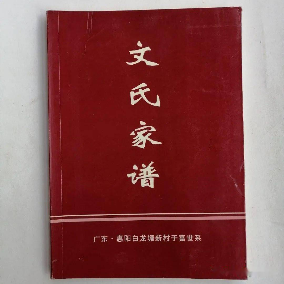 文氏族谱广东惠阳白龙塘新村子富世系