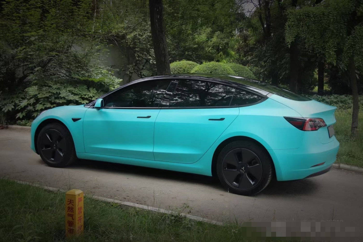 特斯拉model3全车换色了蒂芙尼蓝清晰质感冲上心头