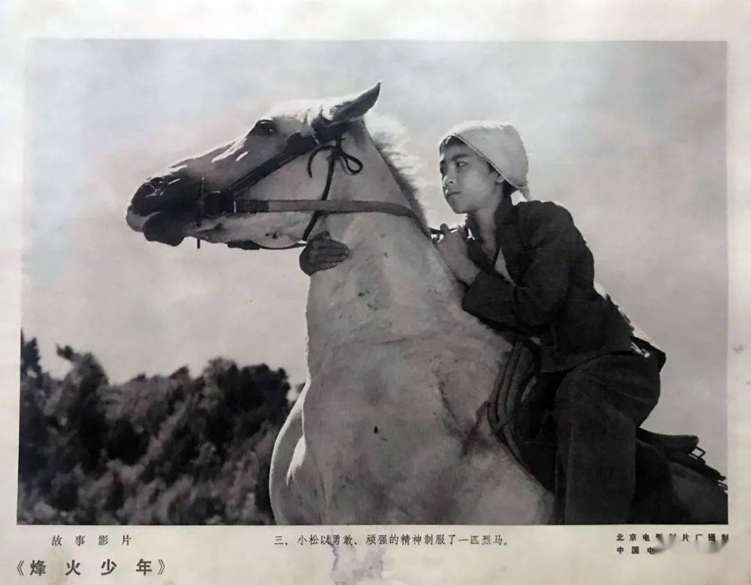 电影烽火少年