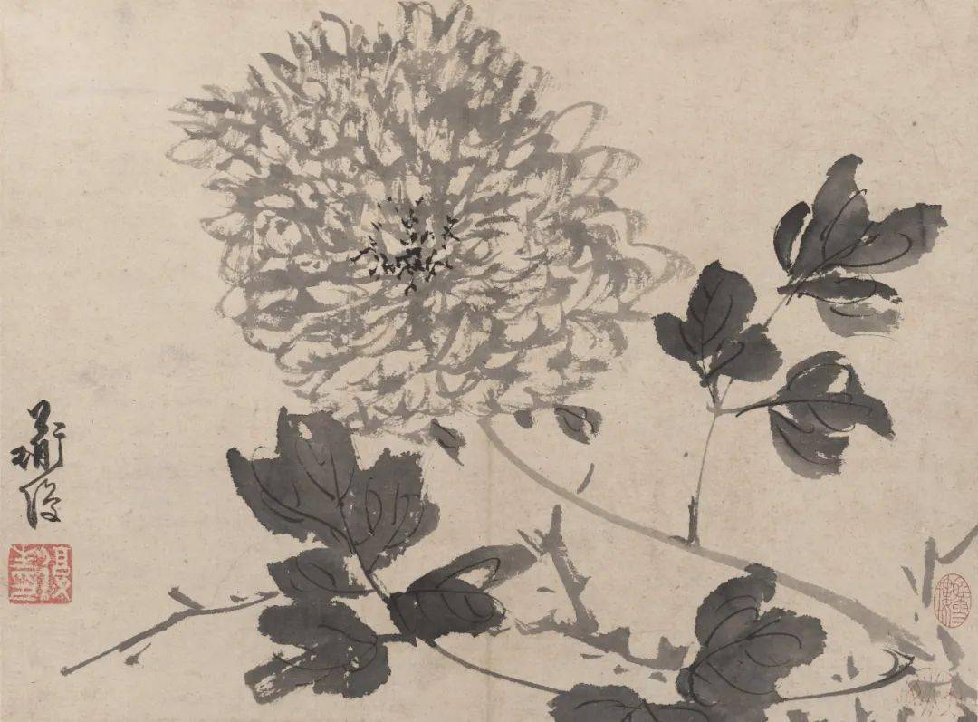 白阳陈淳以书入画开拓了花鸟画大写意新的艺术境地