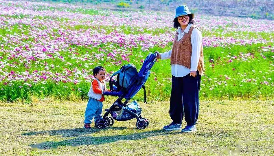 在希望的田野上系列报道119新乡村新生活乡村振兴产业先行三瓜公社