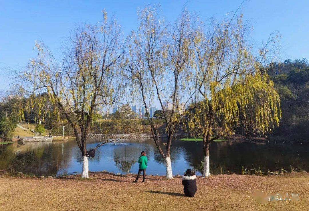 上饒龍潭湖公園隨拍