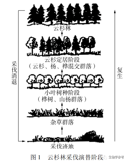 一道生物群落演替高考题引发的思考
