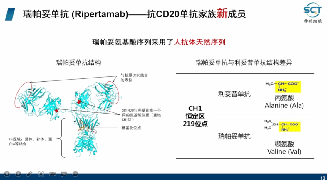 图5 瑞帕妥单抗(ripertamab)结构值得注意的是