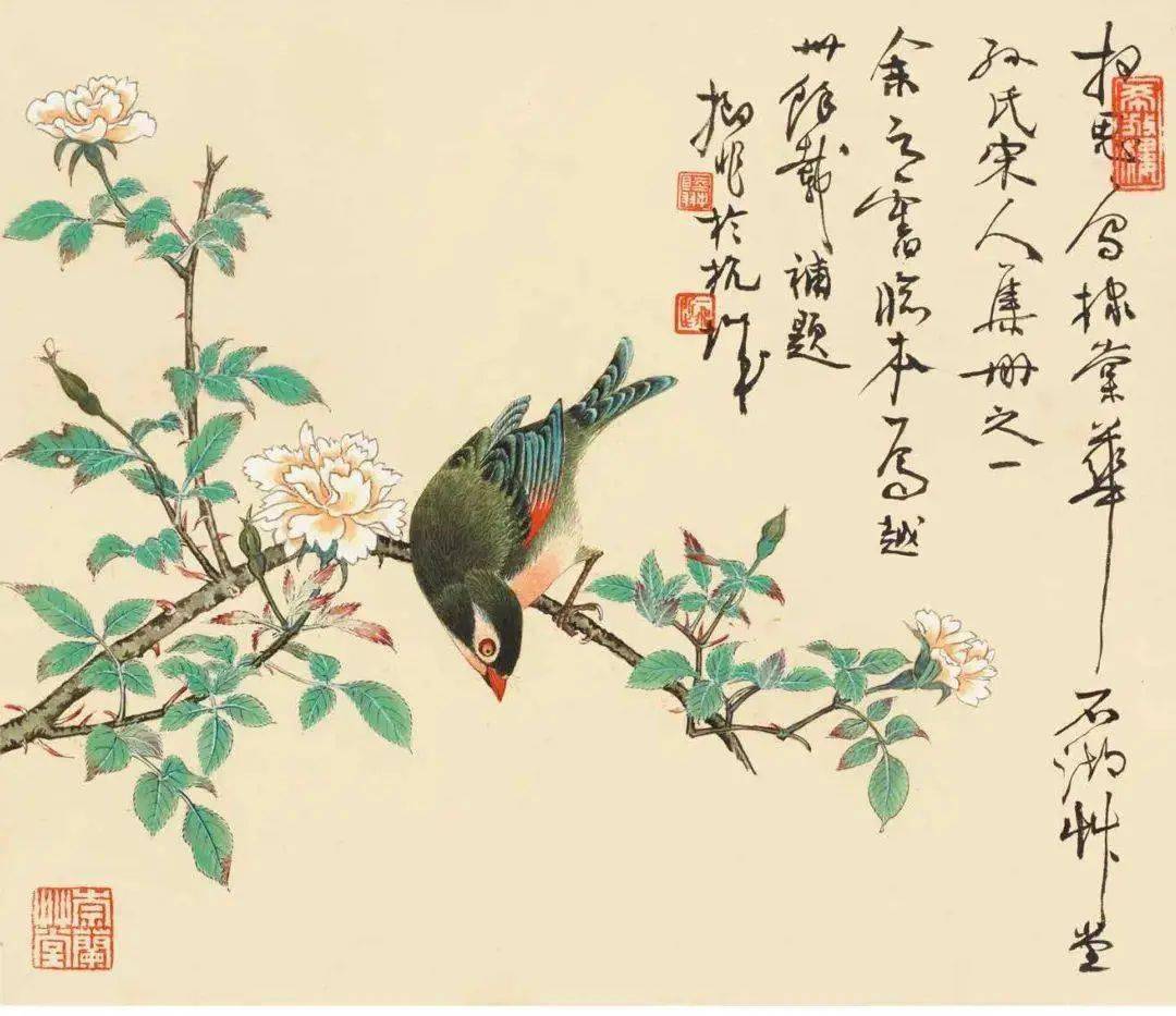 陸抑非 花鳥 陸抑非花鳥畫是生活的美積累_中國_陸翀_上海