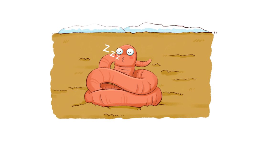 (一候蚯蚓结)仍然蜷缩着身子所以在土中冬眠的蚯蚓但阴气仍十分强盛