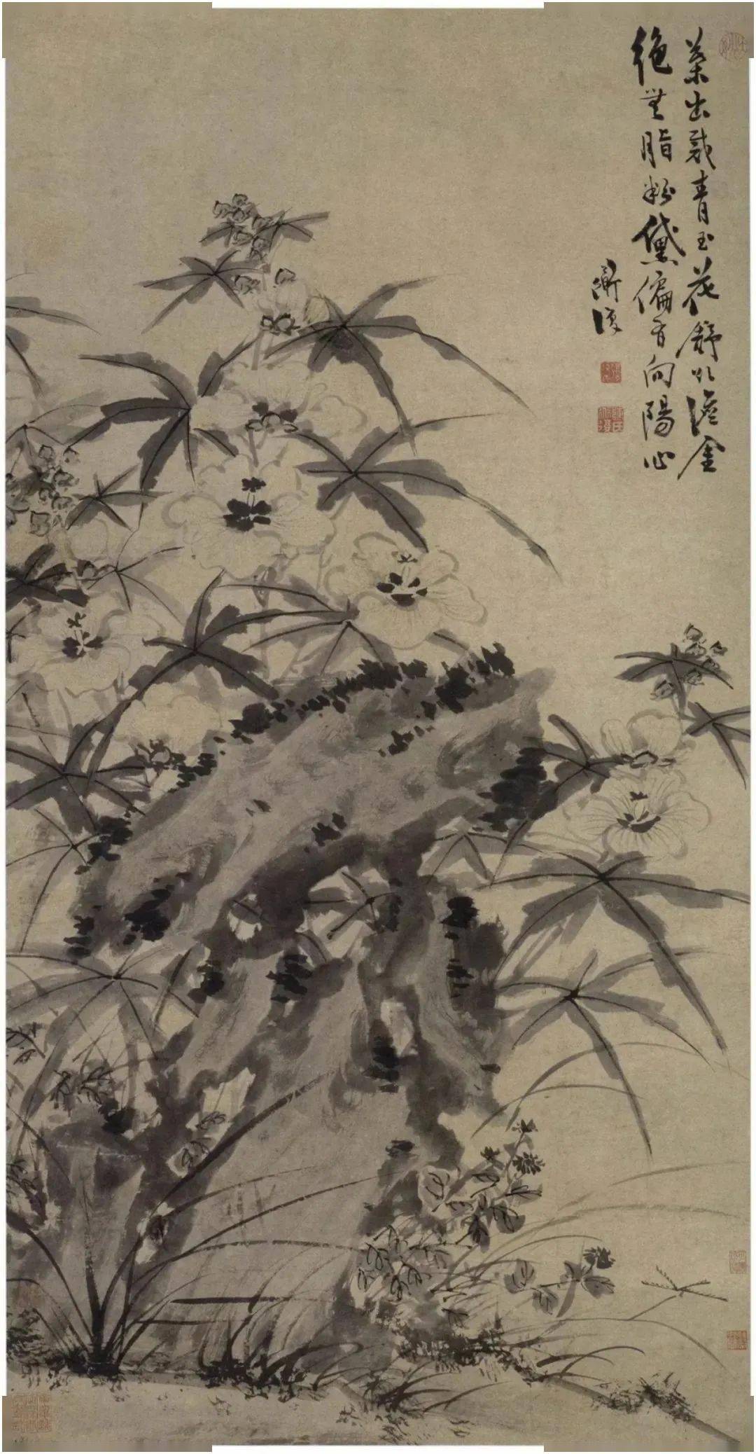 白阳陈淳以书入画,开拓了花鸟画大写意新的艺术境地