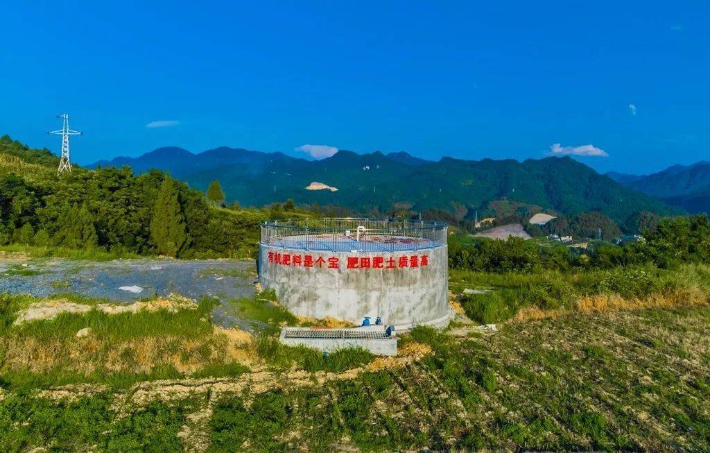 茶叶|一块块金字招牌的背后,竟是……