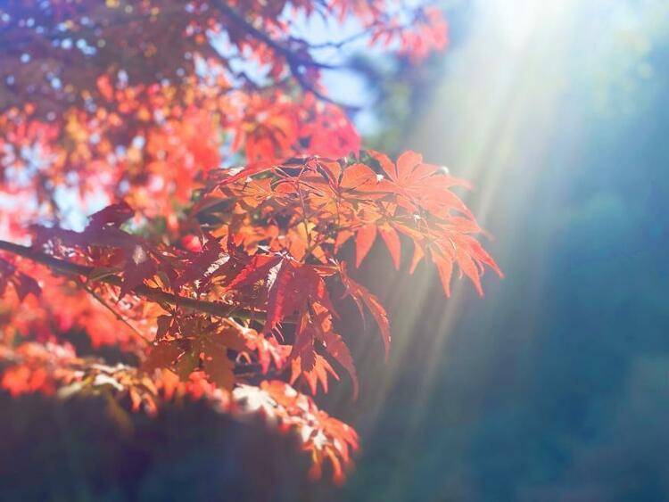 牛首山|南京江宁牛首山：斑斓时刻 动人风景