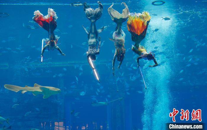 年輕人|“美人魚”國(guó)家級(jí)表演賽三亞落幕