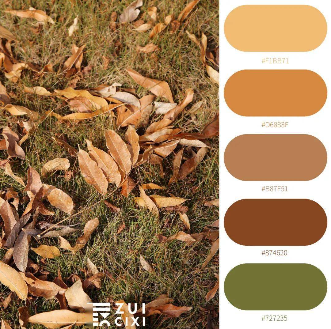 慈溪的冬天有多美!(内含福利)