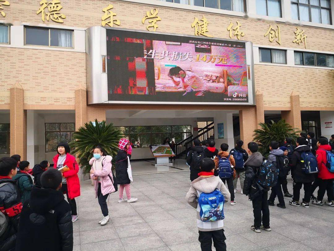 你好!红领巾 | 白水洋小学少先队工作巡礼