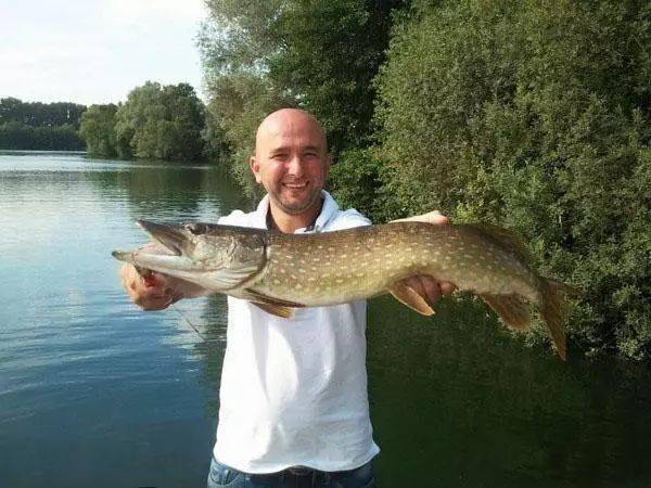 什么鱼荃成语_荃的读音是什么意思(2)