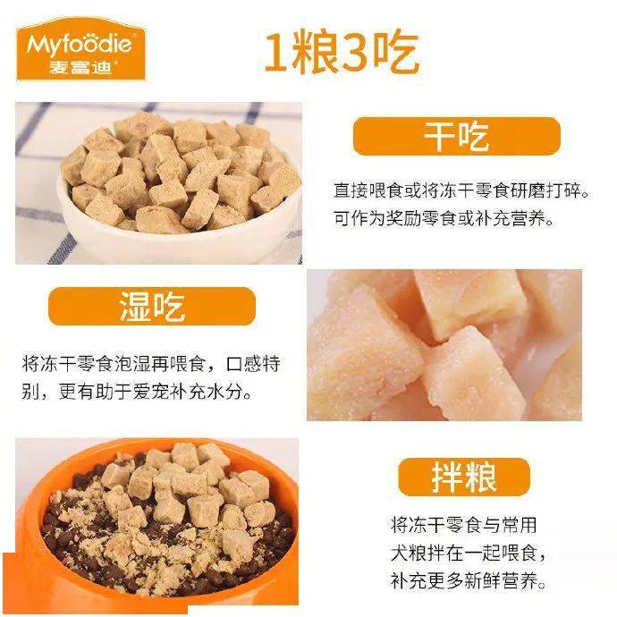 图片|给吃货狗子们来点福利！