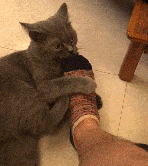b3500c2304c64594a30d31df390c6547.gif