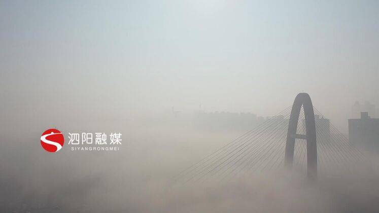泗阳：雾之美似仙境