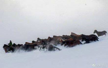 雪原|新疆昭苏马踏雪原景象壮观