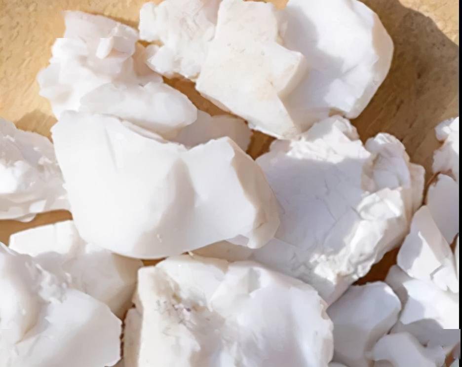 每天学习一味中药天竺黄