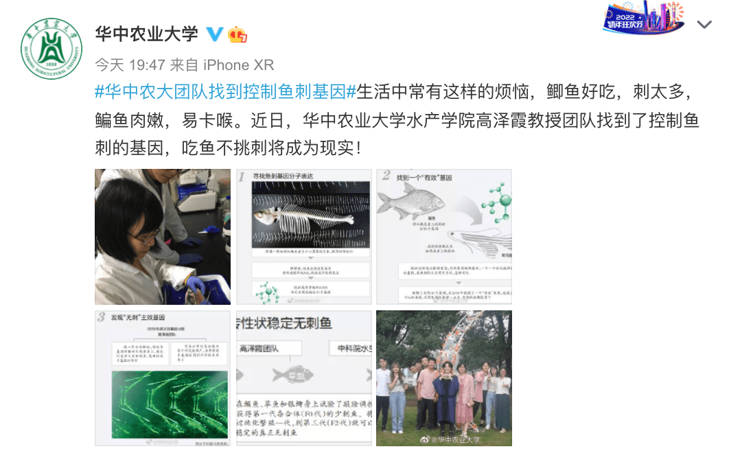 来源|吃鱼不挑刺？高校重大突破！网友有个大胆的想法......
