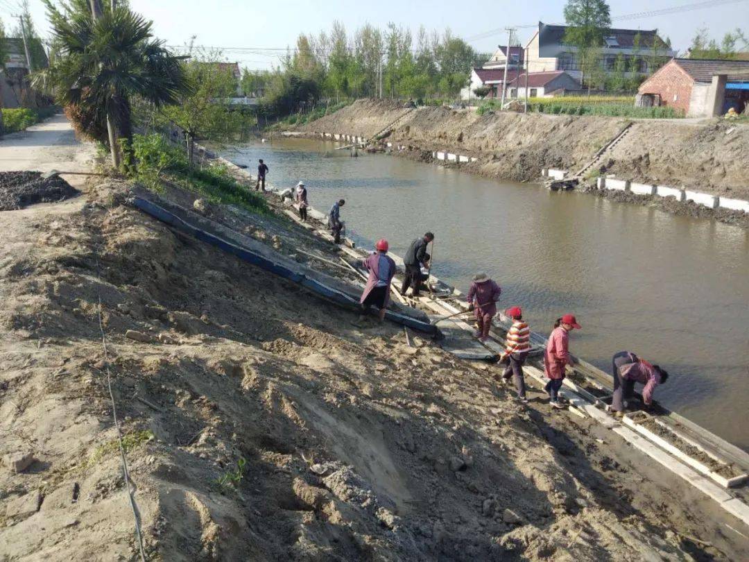 生态如皋搬经镇高明庄社区河道治理有法宝河道管护有新招
