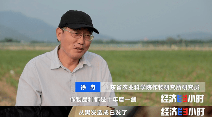 徐冉_育种_苟勤芝