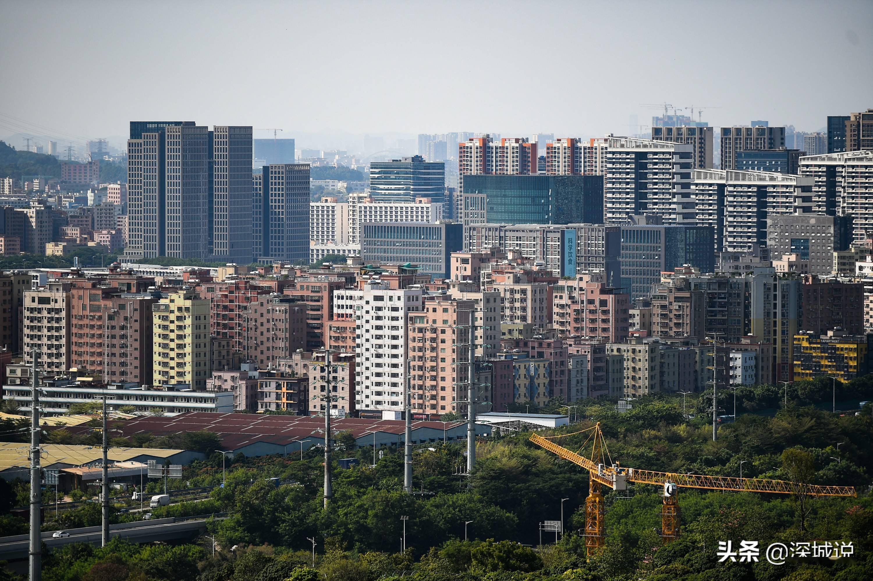 深圳光明区(深圳光明区委书记)