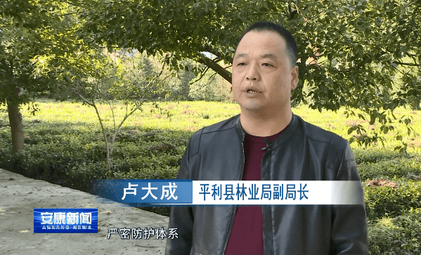 平利山火猛于虎防患于未燃