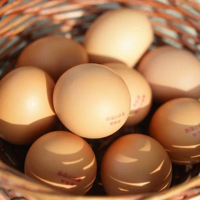 致谢小球藻鸡蛋客户小球藻鸡蛋自述